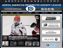 Tablet Screenshot of naphl.com